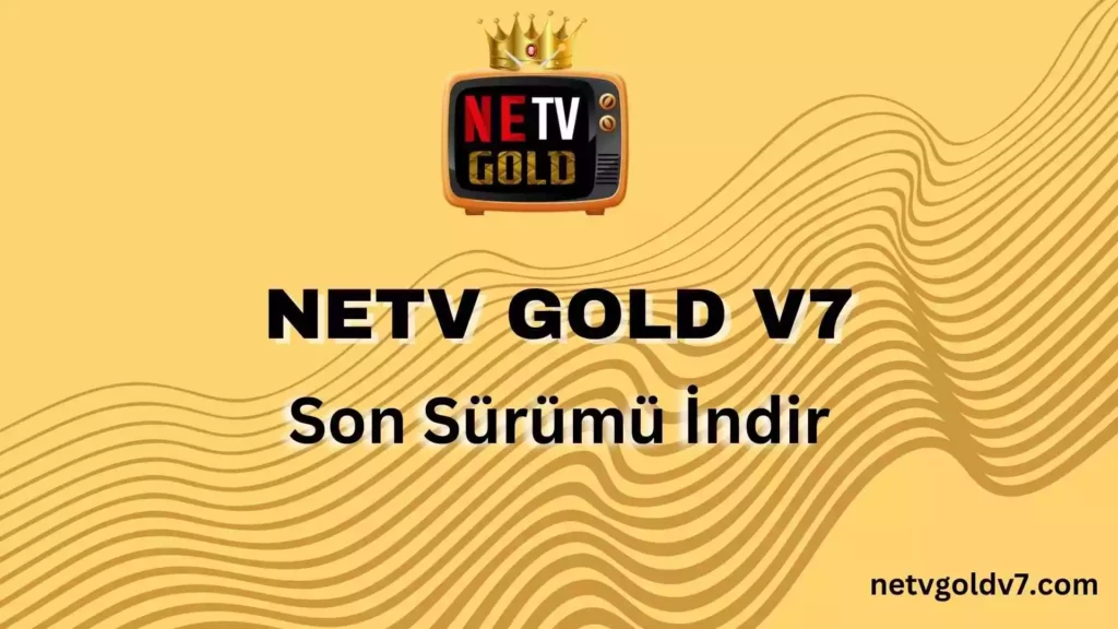 NETV GOLD V7